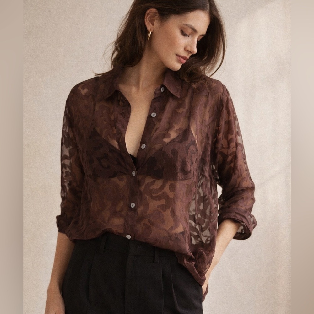 Sheer Burnout Button-Front Blouse – Size PL - Choices Petite - Brown/Burgundy
